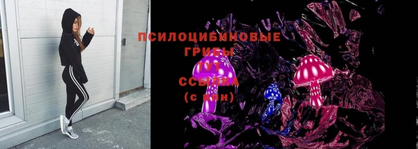 СК Белокуриха